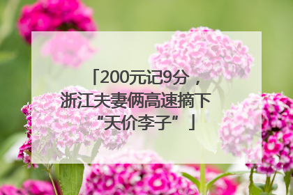200元记9分，浙江夫妻俩高速摘下“天价李子”