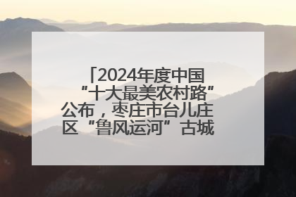 2024年度中国“十大最美农村路”公布，枣庄市台儿庄区“鲁风运河”古城文化廊道上榜！