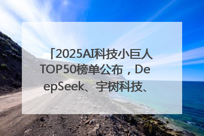 2025AI科技小巨人TOP50榜单公布，DeepSeek、宇树科技、蘑菇车联等企业荣誉上榜