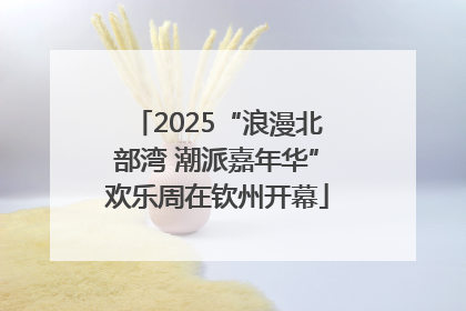 2025“浪漫北部湾 潮派嘉年华”欢乐周在钦州开幕