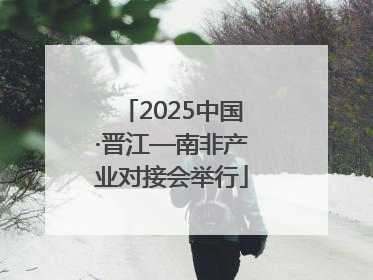 2025中国·晋江—南非产业对接会举行