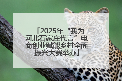 2025年“我为河北石家庄代言”电商创业赋能乡村全面振兴大赛举办