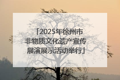 2025年徐州市非物质文化遗产宣传展演展示活动举行