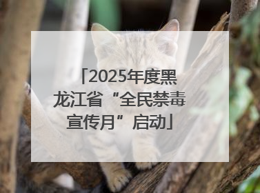 2025年度黑龙江省“全民禁毒宣传月”启动
