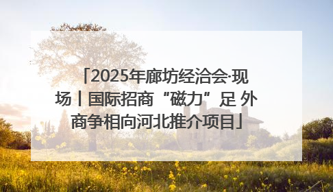 2025年廊坊经洽会·现场丨国际招商“磁力”足 外商争相向河北推介项目