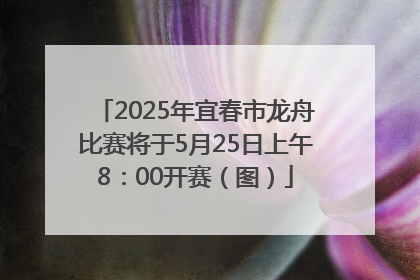 2025年宜春市龙舟比赛将于5月25日上午8：00开赛（图）