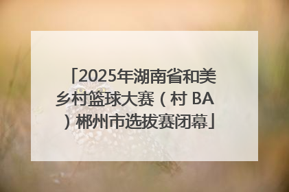 2025年湖南省和美乡村篮球大赛（村 BA）郴州市选拔赛闭幕