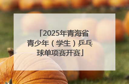 2025年青海省青少年（学生）乒乓球单项赛开赛