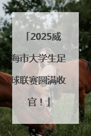 2025威海市大学生足球联赛圆满收官！