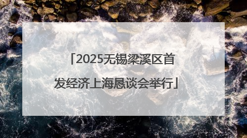 2025无锡梁溪区首发经济上海恳谈会举行