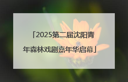 2025第二届沈阳青年森林戏剧嘉年华启幕
