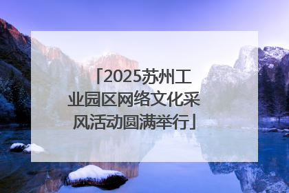 2025苏州工业园区网络文化采风活动圆满举行