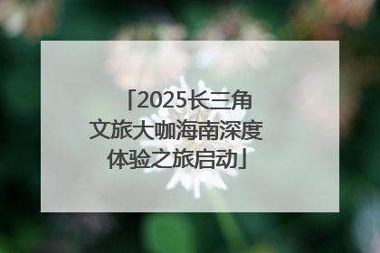 2025长三角文旅大咖海南深度体验之旅启动