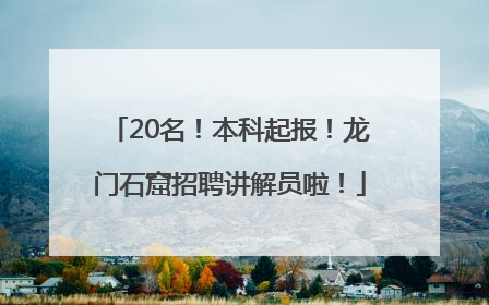 20名！本科起报！龙门石窟招聘讲解员啦！