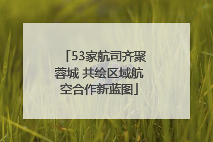53家航司齐聚蓉城 共绘区域航空合作新蓝图