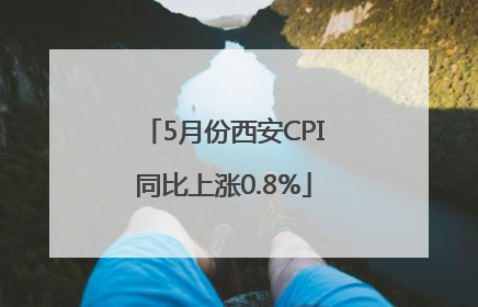 5月份西安CPI同比上涨0.8%