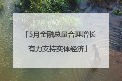 5月金融总量合理增长 有力支持实体经济