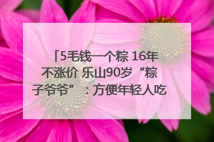 5毛钱一个粽 16年不涨价 乐山90岁“粽子爷爷”：方便年轻人吃口热乎早饭｜封面头条