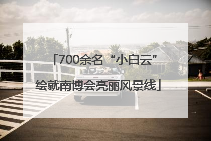 700余名“小白云”绘就南博会亮丽风景线