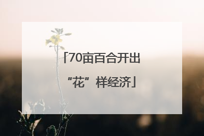 70亩百合开出“花”样经济