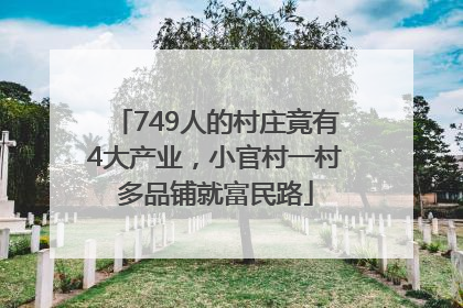 749人的村庄竟有4大产业，小官村一村多品铺就富民路