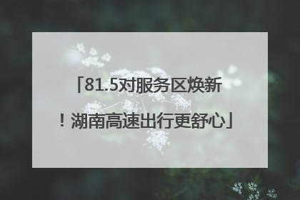 81.5对服务区焕新！湖南高速出行更舒心