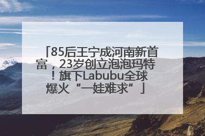 85后王宁成河南新首富，23岁创立泡泡玛特！旗下Labubu全球爆火“一娃难求”