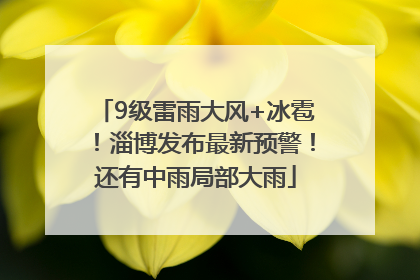 9级雷雨大风+冰雹！淄博发布最新预警！还有中雨局部大雨