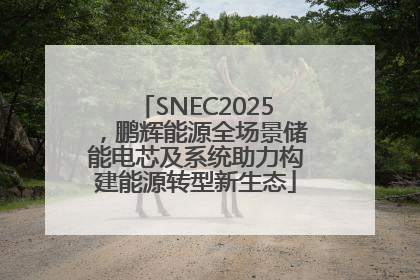 SNEC2025，鹏辉能源全场景储能电芯及系统助力构建能源转型新生态