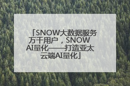 SNOW大数据服务万千用户，SNOW AI量化——打造亚太云端AI量化
